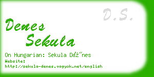 denes sekula business card